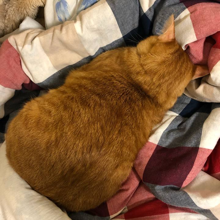 9ad7fe02 6141 46b9 9a61 d3be07d4f40b 1572643807368