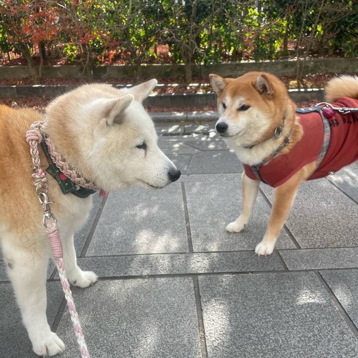 9ad8113f 3e8c 4059 be39 1c0795470bcf 1702817775614