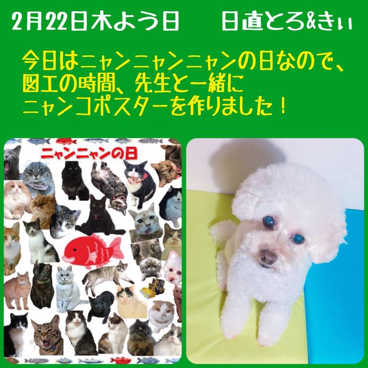 9ad83d14 1d10 442d a0f3 a4da373f372c 1519299406359