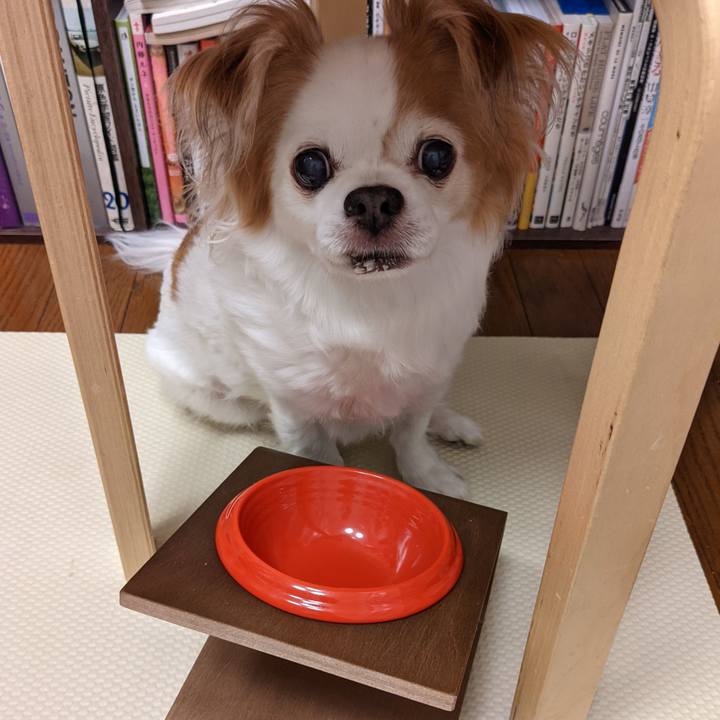 9ad840e6 44eb 4eda 8c40 ef216d8c6b37 1622636411211