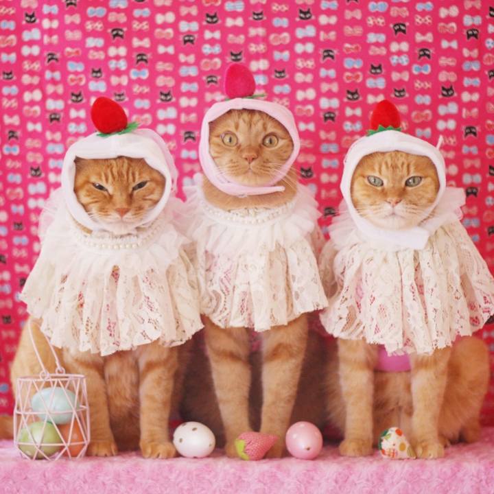 9ad85c0f 47d4 4b2d 87a2 e6df0349cd34 1656816691163