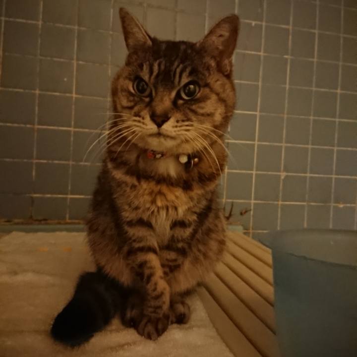 9ad8629c b6b1 4f02 89c7 bb2e9efd5330 1579858461971