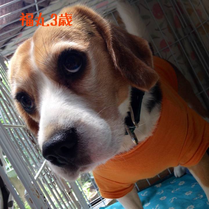 9ad86f05 566c 4cef 85f3 ead403114f42 1509519745904