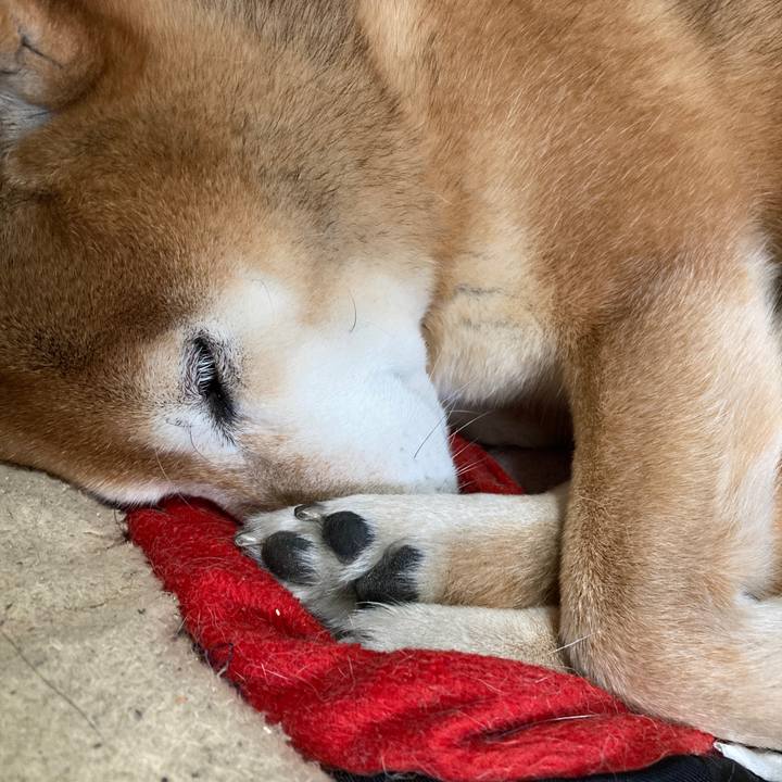 9ad899fc 0c70 4e42 9f67 0cf71aecd513 1677988432927