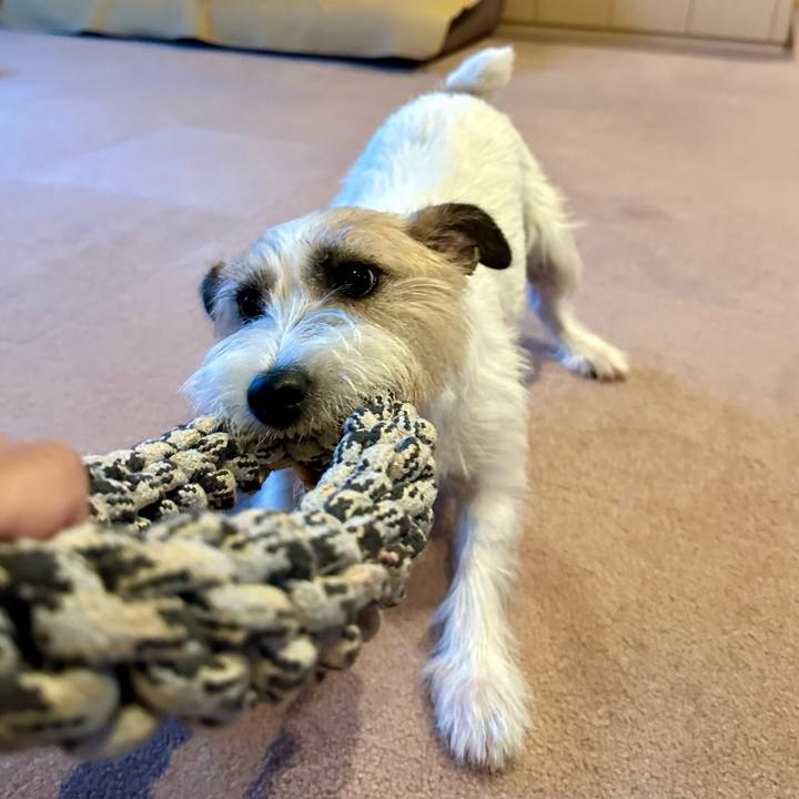 9ad8b1ab d64c 4308 a3b6 f3623aeebcfb 1753596054898