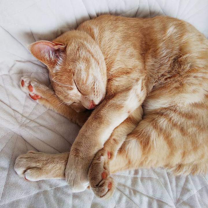 9ad8e9b5 b312 4ef0 b457 64afd3579f96 1592088577268