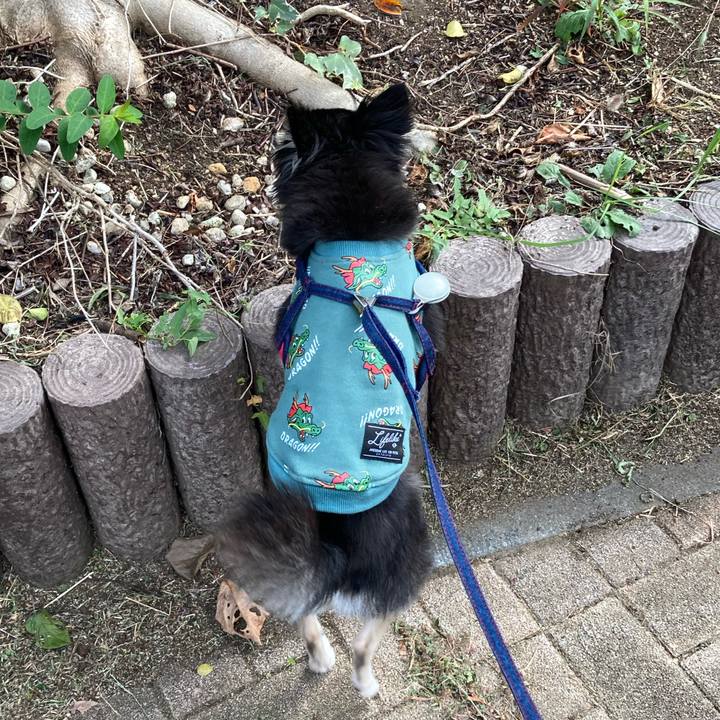 9ad8fd20 f136 41ff 8389 9c5f296c449a 1697904219251