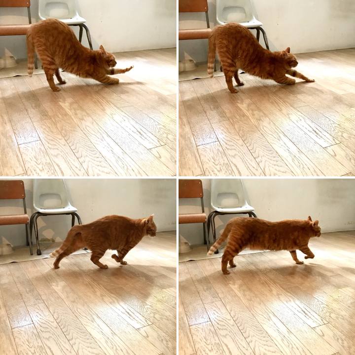 9ad9208e 80ad 46ca a912 9bf1dbdd5d0d 1509159830901