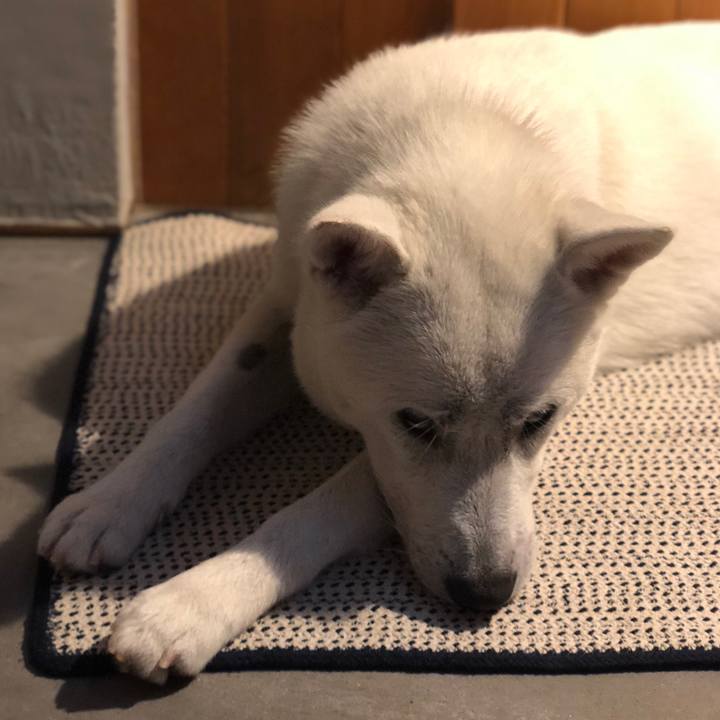 9ad927f9 9a53 4b5a bd44 a3055b0620bd 1528279668095