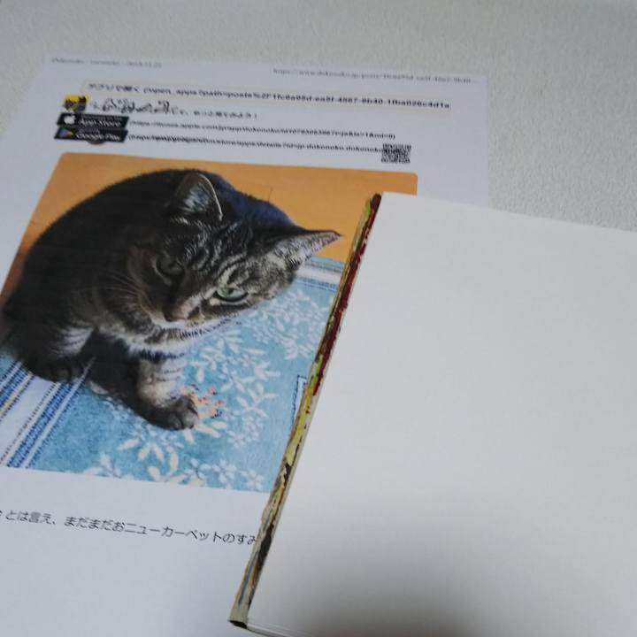 9ad936c1 368a 47d9 9c39 aad5bc54e86c 1549713736337