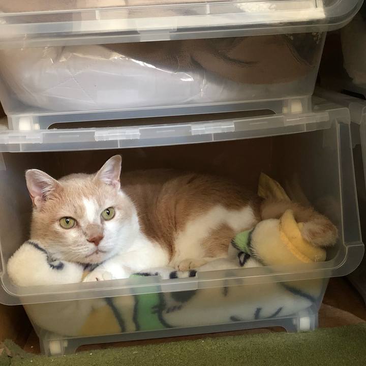 9ad94be6 8e8c 44c6 a7dd baaf26d8edee 1628637481402