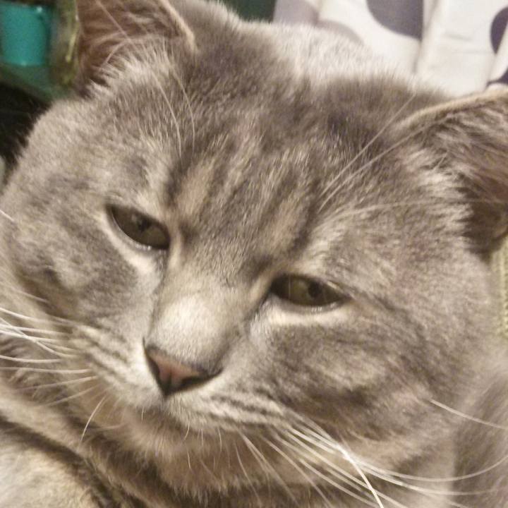 9ad9734a 817e 4f4f 98a6 ca4e72337bd2 1552687773889