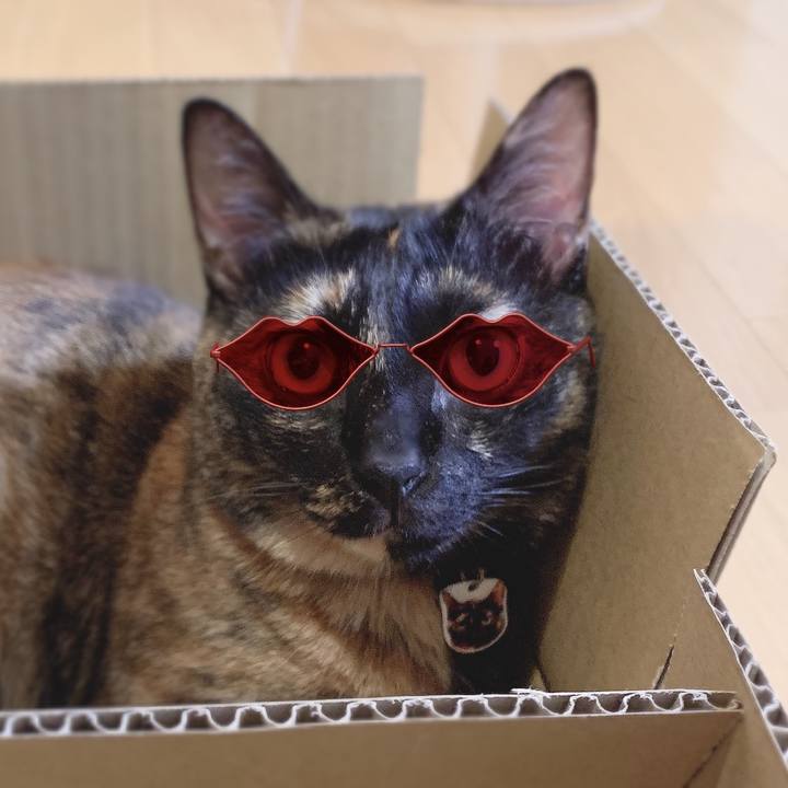 9ad9792e 7ec0 4c9d 83a2 bd6cae6cff9f 1562678732889