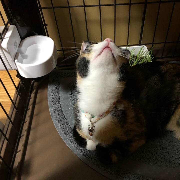 9ad9bb8c 151e 4b73 9b3b 21bd40550933 1564751238960