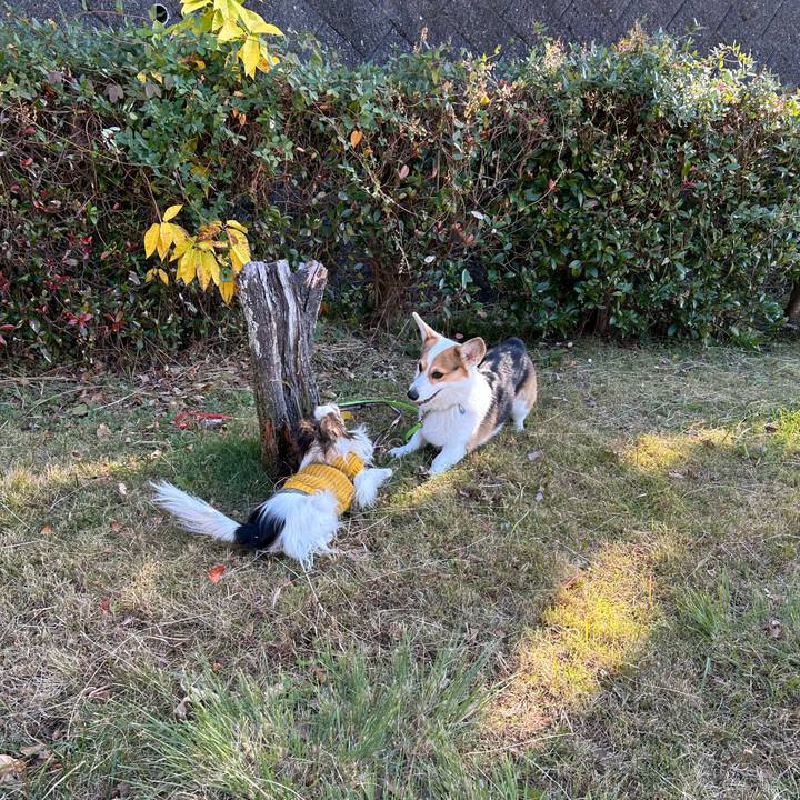 9ad9e634 ac29 4f38 bd41 6df8f2dd4f75 1765369607659