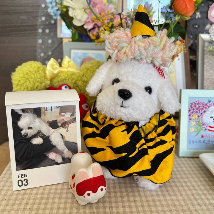 9ad9ec5d 7ab2 4f81 a315 54568a102375 1770084110359