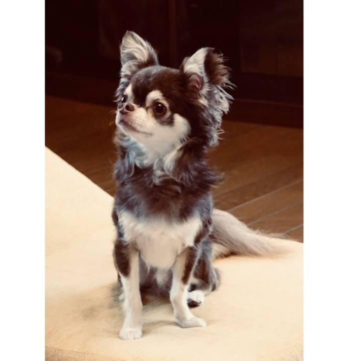 9ada6436 4ffe 4bae a3bd 0af375267dea 1541767838060