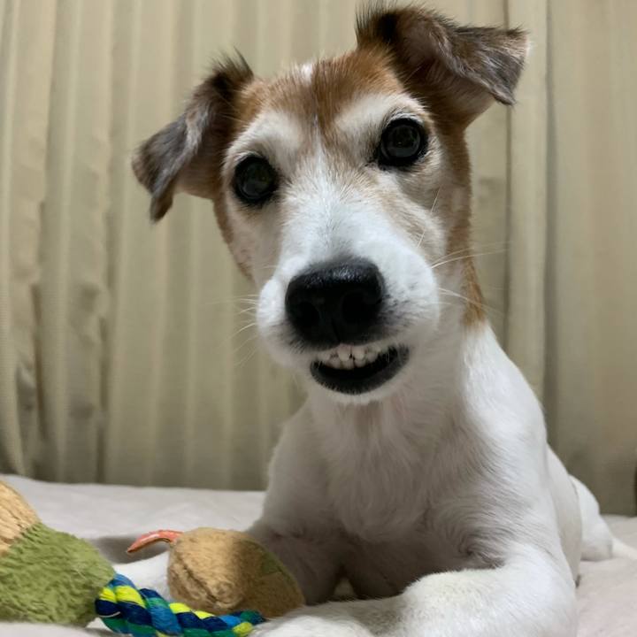 9ada7701 59fc 41af a602 f57f50db217a 1619149113782