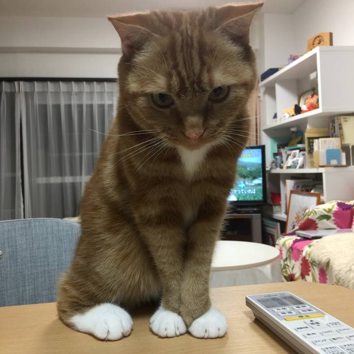 9ada7c7d 3eff 4bd9 97a1 a631ee6ab8a2 1559059245659