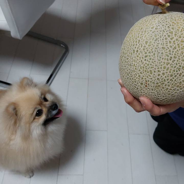 9ada9891 a220 48fa b55e 89e428f3be2f 1659102734021