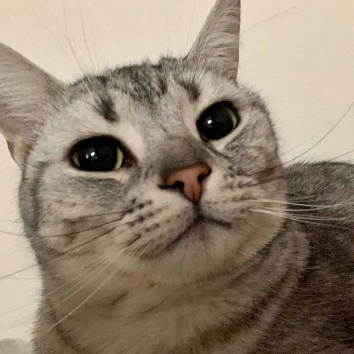 9adab19f 3f8f 48ff bc4d 839a41fca150 1616629858275