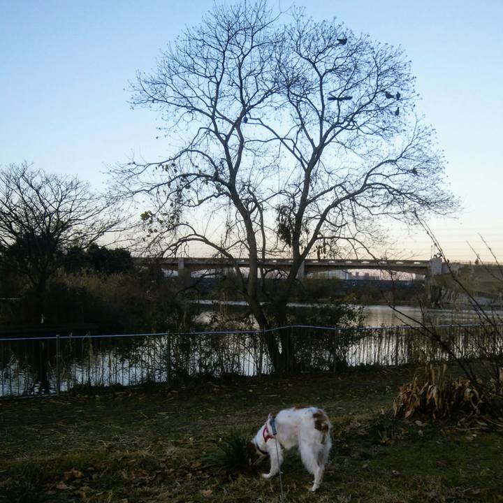 9adace95 5635 432e bdc5 017fb9af31e6 1548116758169