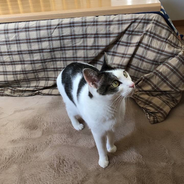 9adadbf9 0a5e 4982 91a8 9951559efead 1701147051964