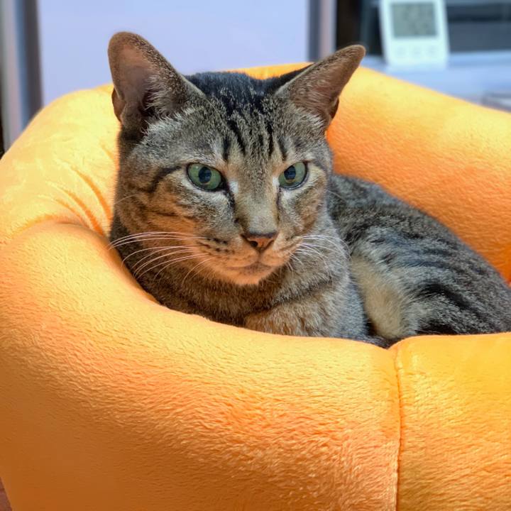 9adafc2e 02b2 4e0e 9613 5130b6e94f09 1540951027816