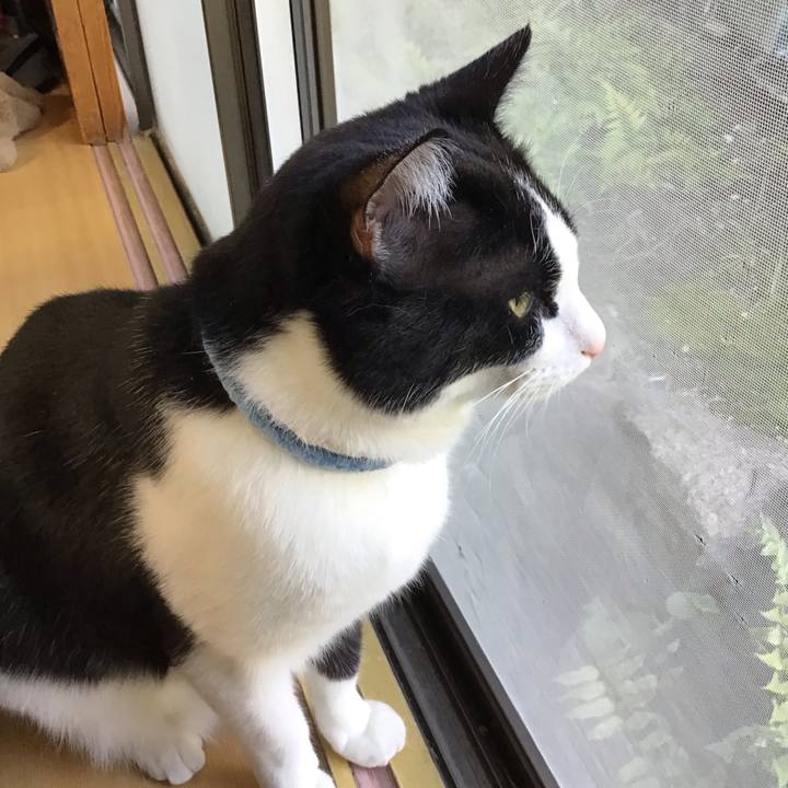 9adb4f14 096d 4d79 ac7b ddf4df4e2fb1 1681636678232