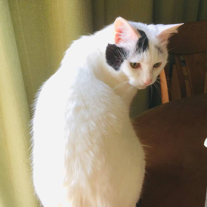 9adb6578 7a18 4f03 ae58 b65b22f7c6bc 1560567281922