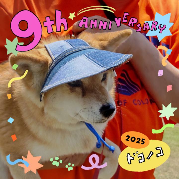 9adb7e4c 405a 4f3f bd3a ae89dd5b15ea 1749131628707