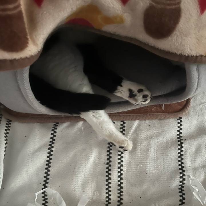 9adbb46a 0e41 4a0b 942a b92476c16f7c 1701315430345