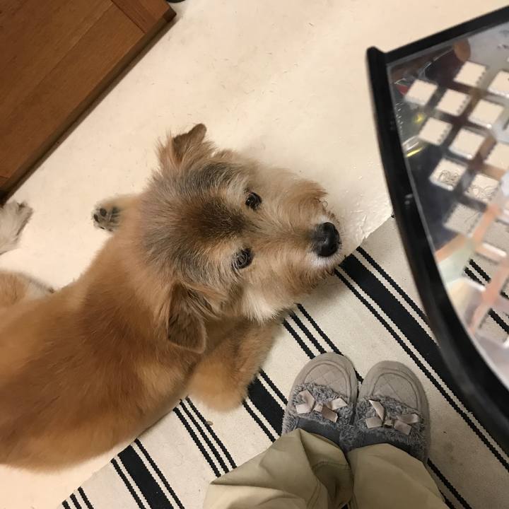 9adc3874 8052 4591 a55c 36a6c142d321 1602813131695