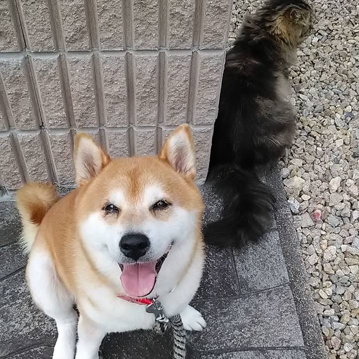 9adc72b1 aa36 4404 87f8 a569df5b685c 1692419166969