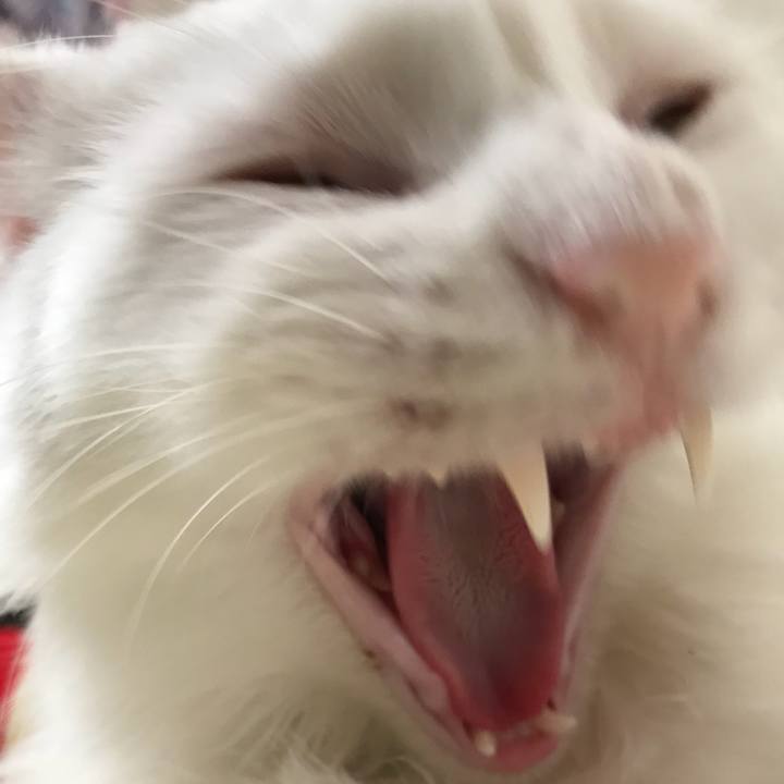 9adc8a54 fc89 4432 bc47 afe1b5aad685 1530971410000