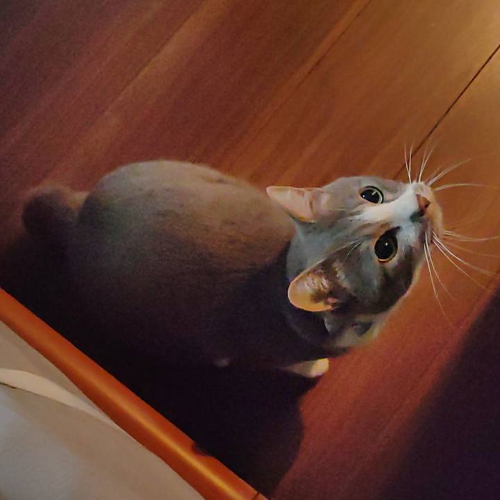 9adca29e aed8 4dd9 b935 9f726cf7e3f7 1665702396662