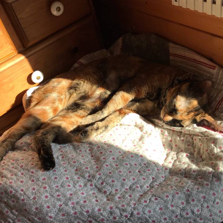 9adcebfe ccdd 490c 8cca 7d4134611404 1637639615392