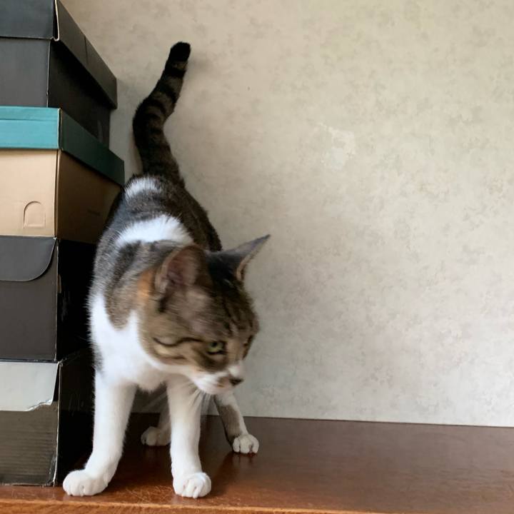 9add4a8b b86b 482b aa26 e024cc02b3be 1601601702407