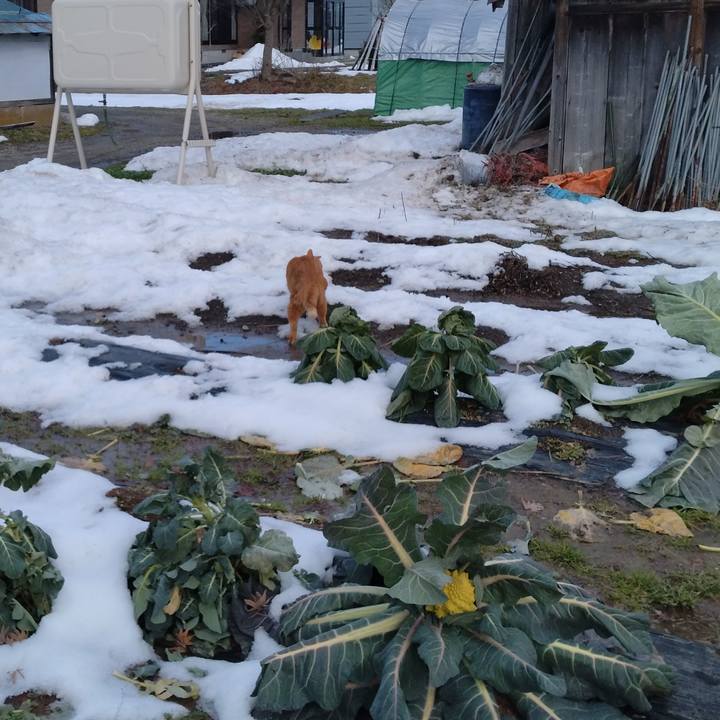 9adda67f 6c89 470e aae0 742cc9a1d97c 1703656322731