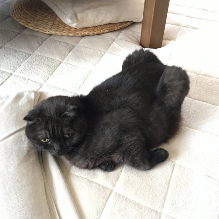 9addd302 03d9 4104 b0ca 0449b88a63a9 1527426626511