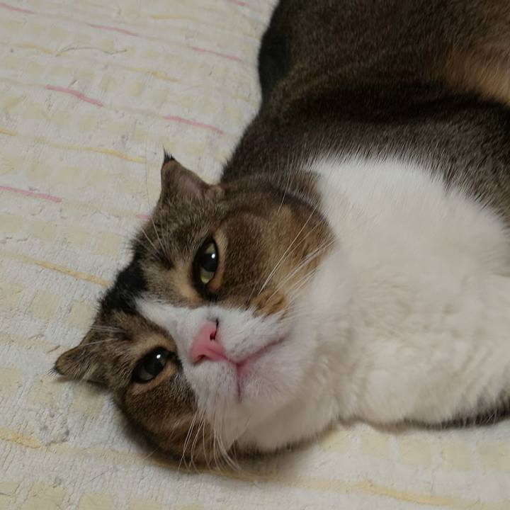 9addf654 995c 4b53 ac8e f94bb6eb8383 1597367786440