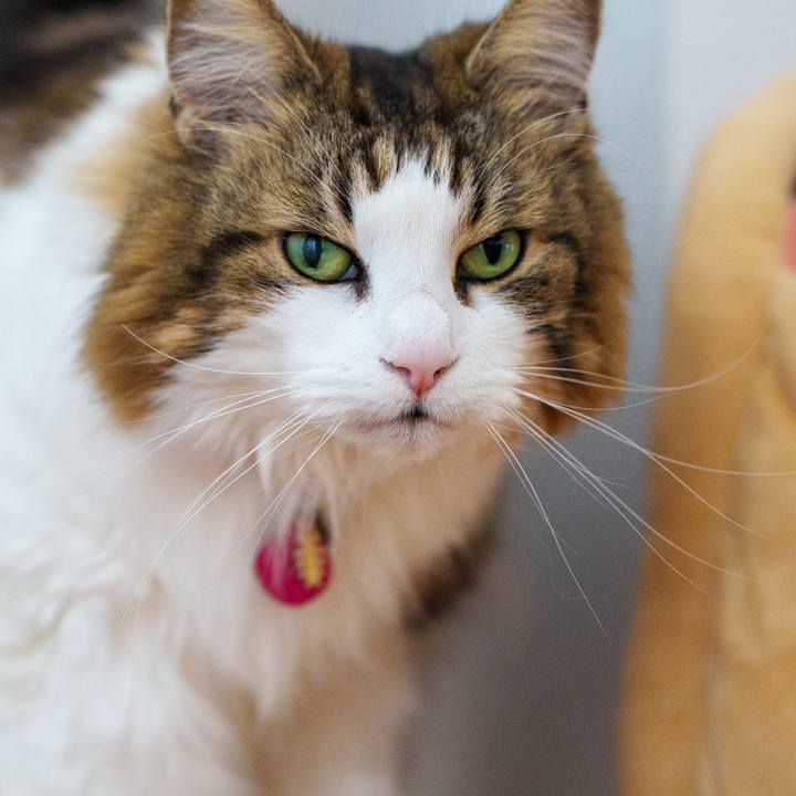 9ade441c 8578 496e a5e8 fbff702ca9ce 1742967758325