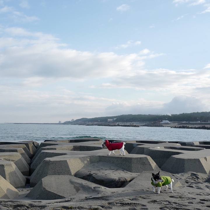 9ade4b93 9ea6 41e7 874d bbc56918bf12 1547440273249