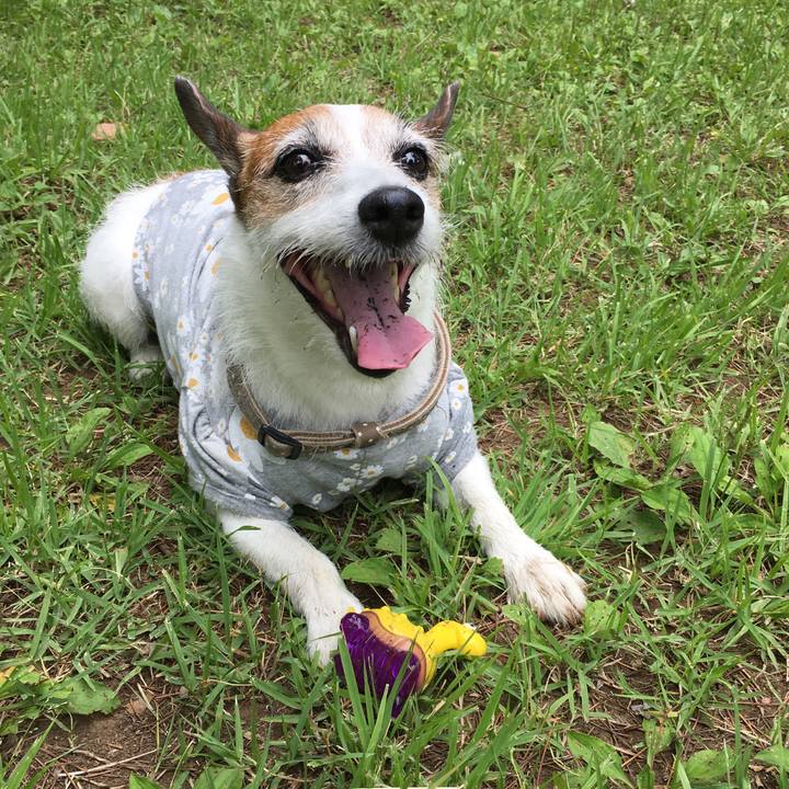 9ade8cf9 673a 4548 9893 302f199badf5 1623886619533