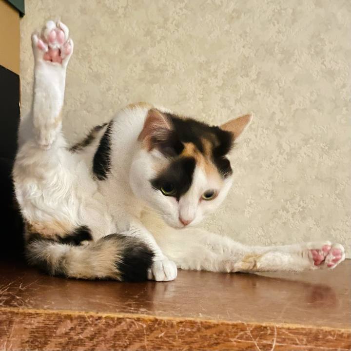 9adecc4a 6791 437f a28f 708dbe2d1aa8 1625627783946