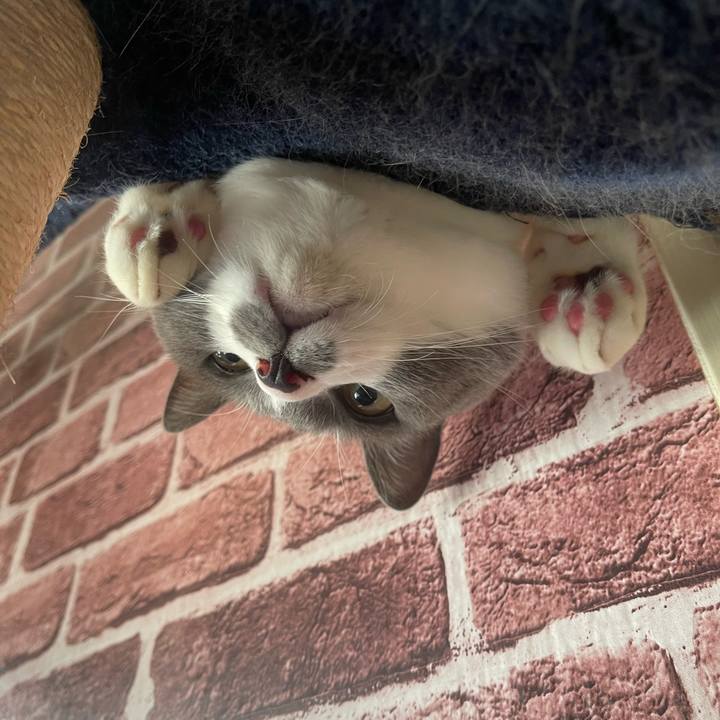 9aded2cd d5de 463d ae99 7b445e6d7eae 1732228947135