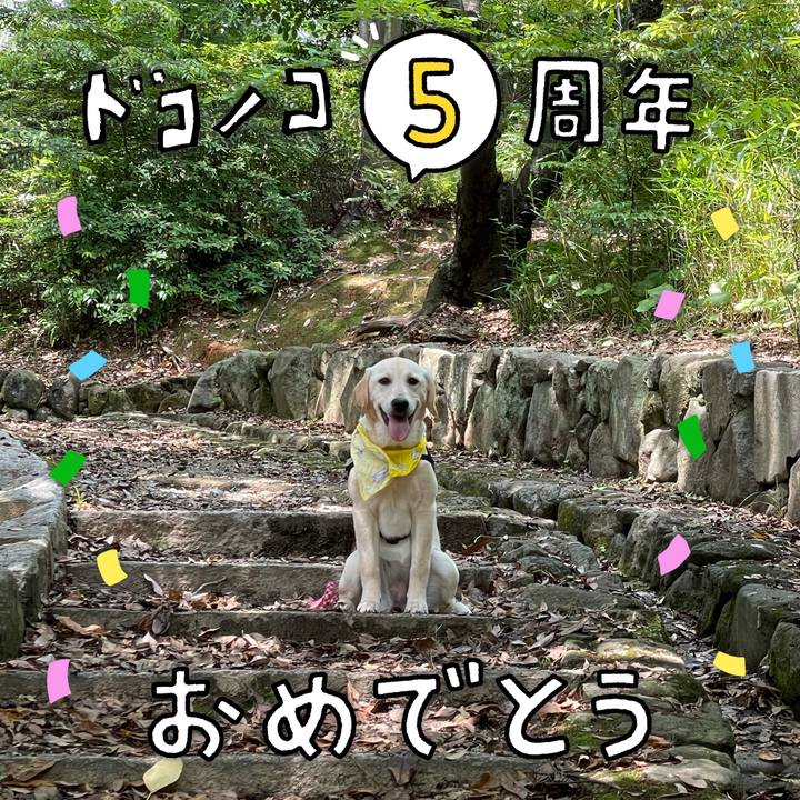 9adeff3a c46b 4b4f 8714 2ce0d0dd312b 1622984489030