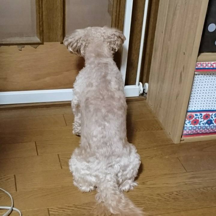 9adf3723 5f07 4bb9 afd7 0b5c01a81997 1597556267081