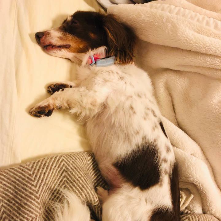 9adf9f9d 8d7f 4a71 980f d73f69b60b1a 1548889721093