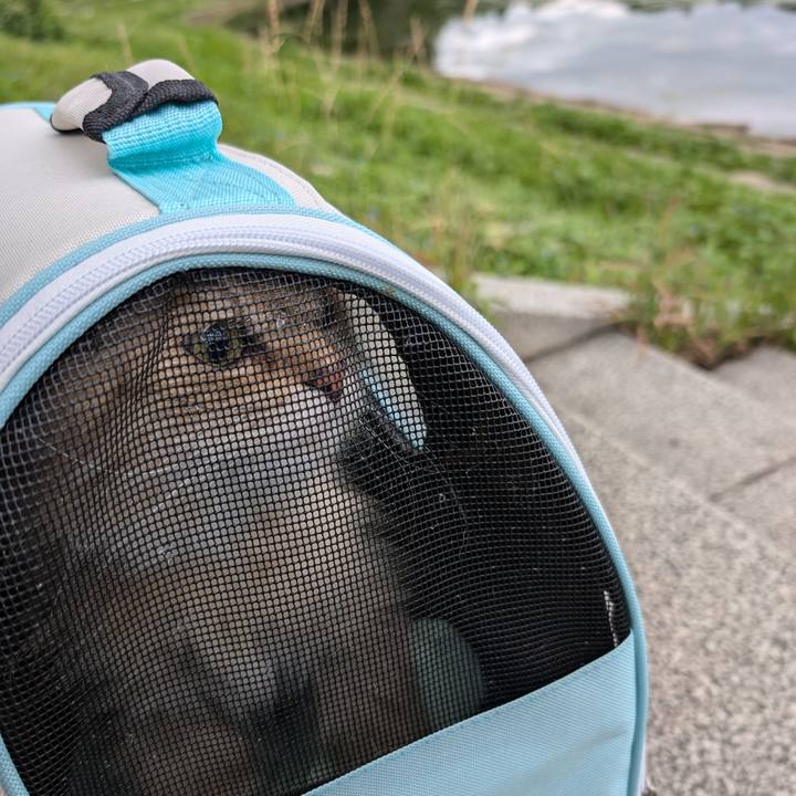 9adfa9d2 d900 470b a2e3 837b79d861df 1719793531480